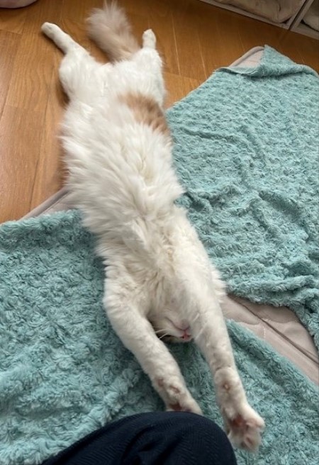 thumbnail_IMG_1509 (1)