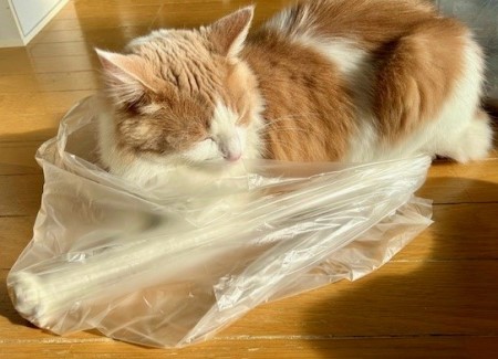 thumbnail_IMG_0517 (2)