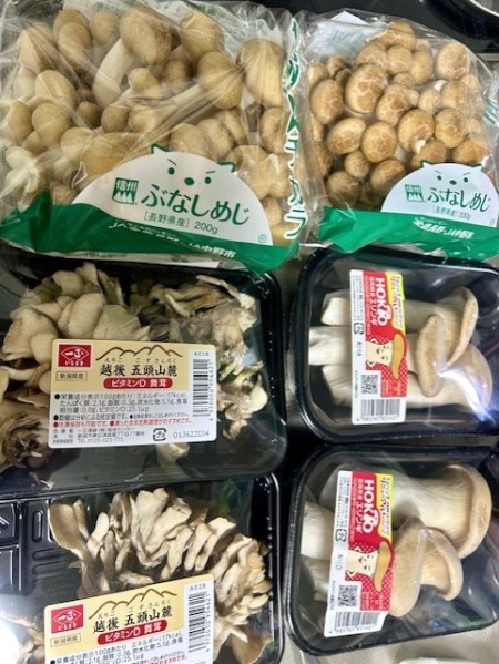 2f880076-8516-4b24-9154-34b0737def0e