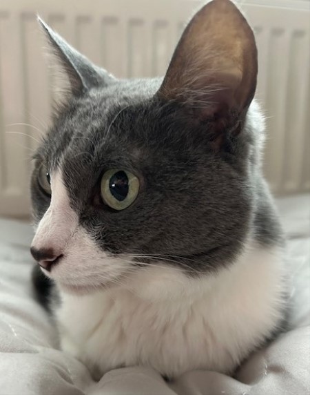 thumbnail_IMG_1968 (1)