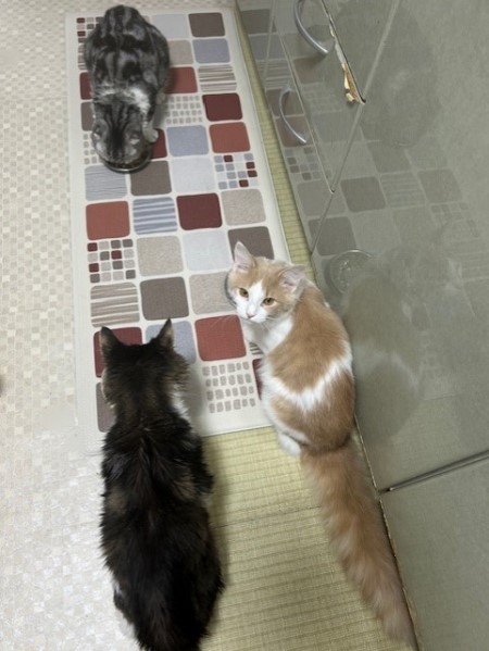 thumbnail_IMG_4989 (1)