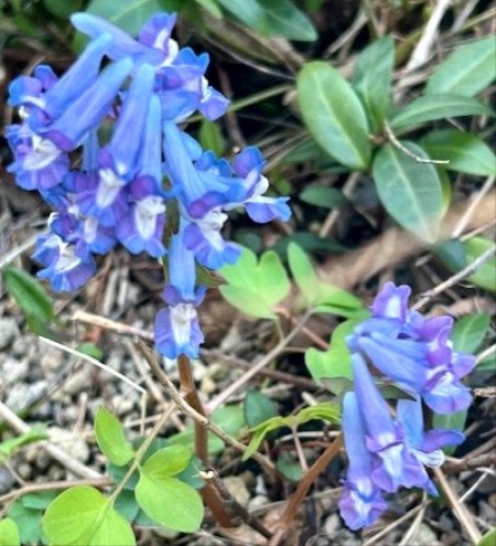 thumbnail_IMG_4761 (1)