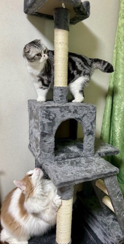 thumbnail_IMG_3187 (2)