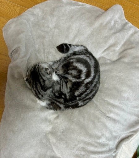 thumbnail_IMG_0377 (1)