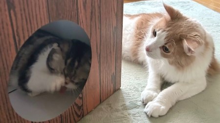 thumbnail_IMG_8383 (1)