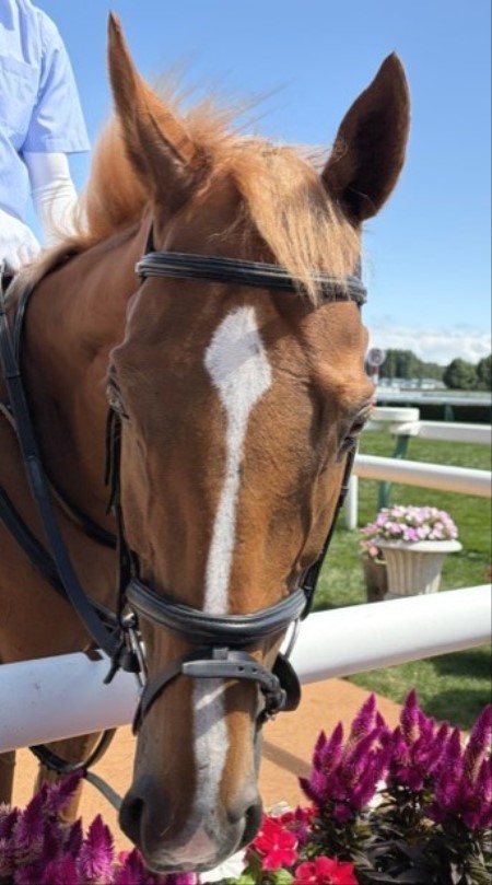 1a99e3e8-482e-4a32-a2e4-cdefb89d236d