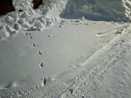 60b9189d-ace8-4f6f-a397-56097e4d98f9