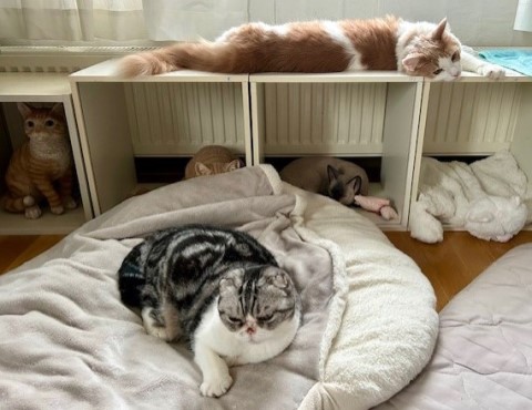 thumbnail_IMG_8776 (1)