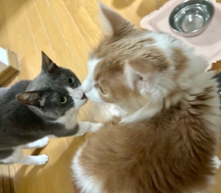 thumbnail_IMG_5240 (2)