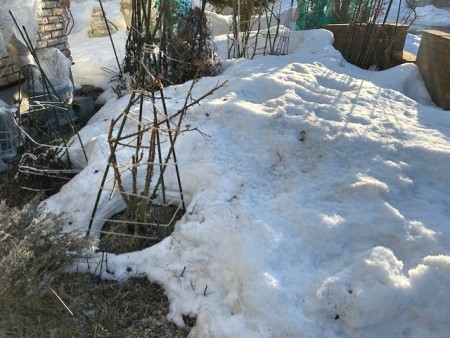 thumbnail_IMG_7480 (1)