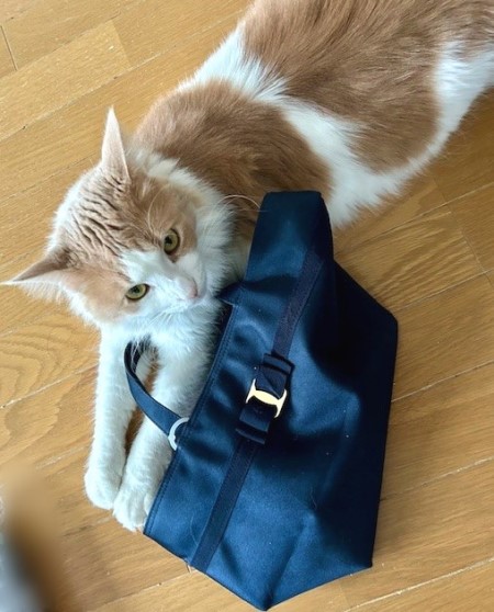 thumbnail_IMG_4559 (1)