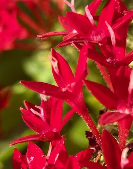 thumbnail_IMG_1967 (1)