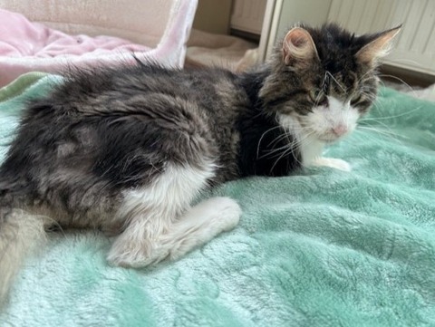 thumbnail_IMG_4705 (1)