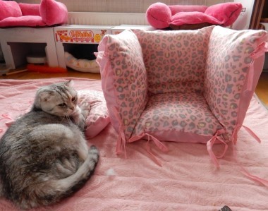 ８６４円で作る冬用キャットハウス 猫だらけ Powered By ライブドアブログ