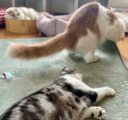 thumbnail_IMG_5185 (2)