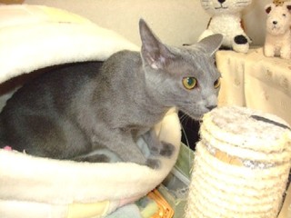 2007_10020001