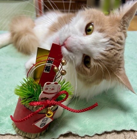 thumbnail_IMG_6057 (1)