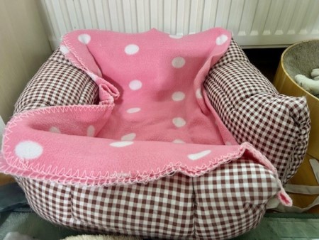 thumbnail_IMG_3461 (1)