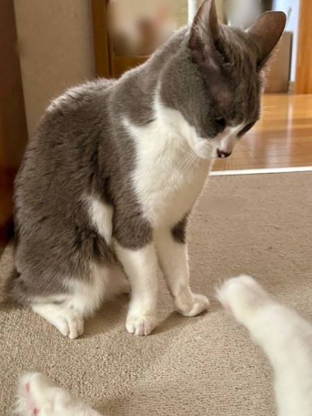 thumbnail_IMG_3571 (2)