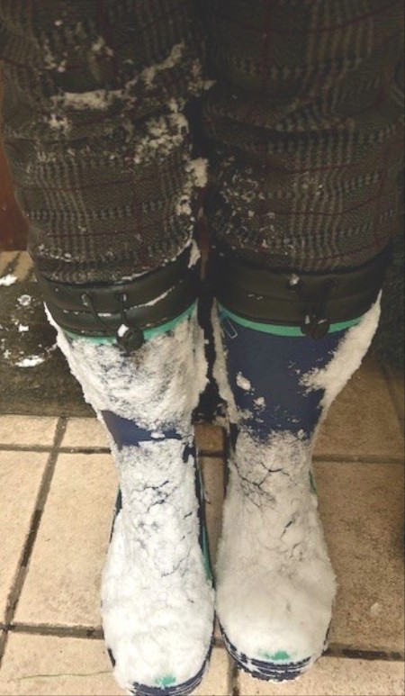 4e48900c-bbc3-4918-806c-a4d416a9adcf