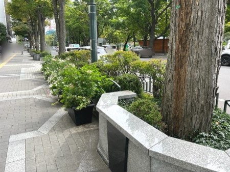 thumbnail_IMG_7655