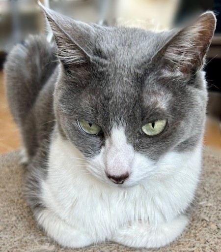 9206d580-61ab-4933-8def-2d4c6ee9ad37