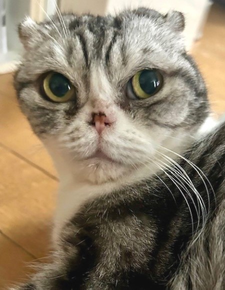 thumbnail_IMG_9096 (1)