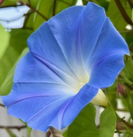 thumbnail_IMG_2927 (2)