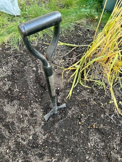 thumbnail_IMG_4404 (2)