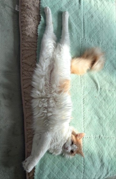 b06cacf2-8df4-4e13-8c30-1c0fd48e2af6