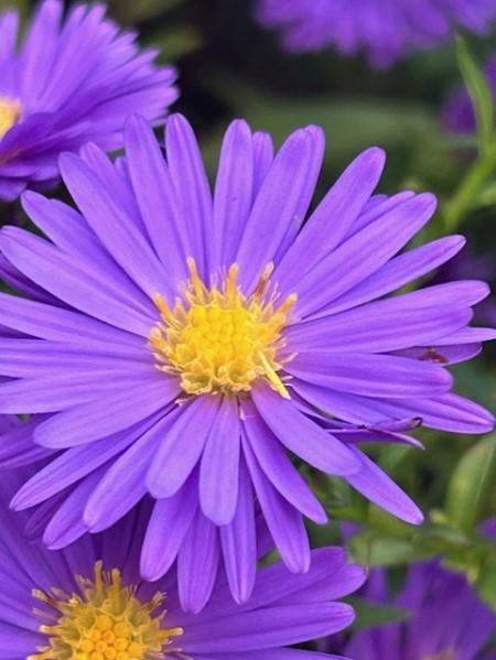 thumbnail_IMG_6311 (1)