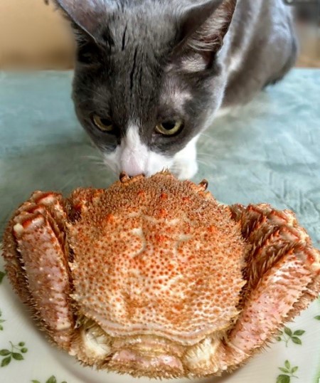 thumbnail_IMG_3379 (1)