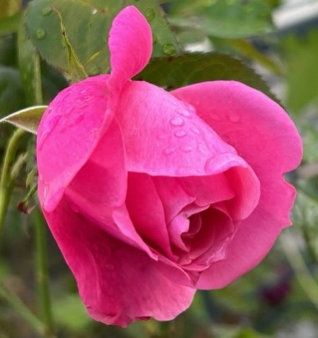thumbnail_IMG_9378 (1)