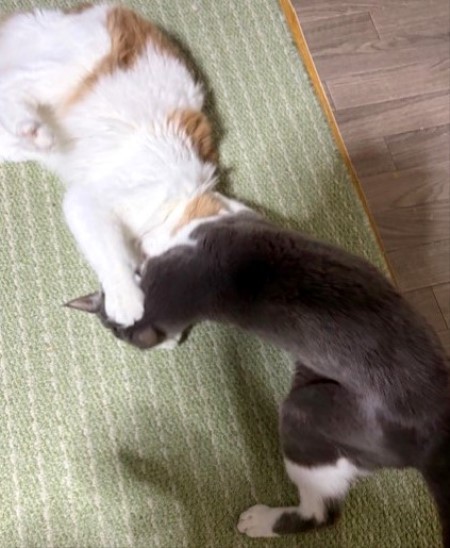 4f2ab2ed-930b-4ad0-9bfe-d669536da8e5