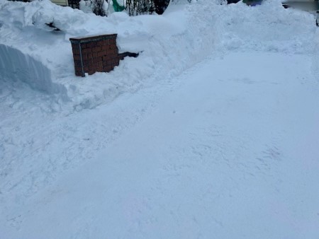 d3d53314-4bc0-4ab9-bd86-83a02872d00c