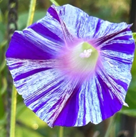 thumbnail_IMG_7716