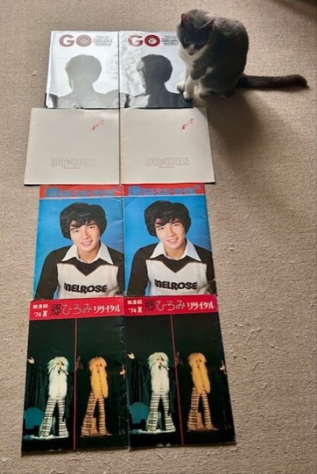 郷ひろみさんの1974年のコンサートのパンフレット : 猫だらけ Powered