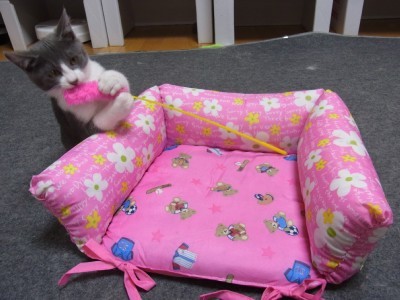 「猫だらけ」
