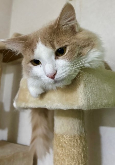 thumbnail_IMG_0272 (3)
