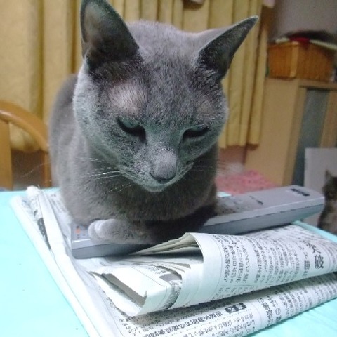 2009_03080012