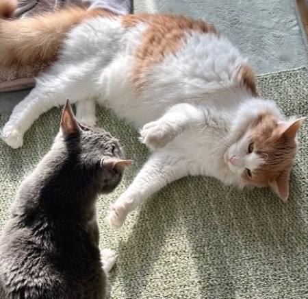 e290144d-e6a9-470c-bf92-cbadae0d3f98