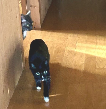 32f7eeab-ef87-4f45-a449-07c35e7a3ffc