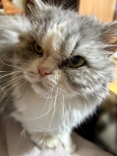 thumbnail_IMG_4146 (2)