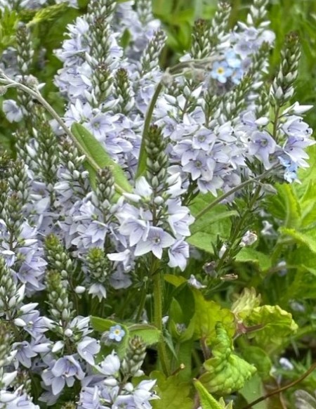 thumbnail_IMG_1190