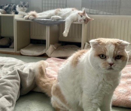 9ab3ca66-6ed9-4fdf-b214-d81ccb5e07fc