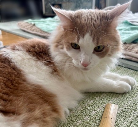 thumbnail_IMG_5576 (2)