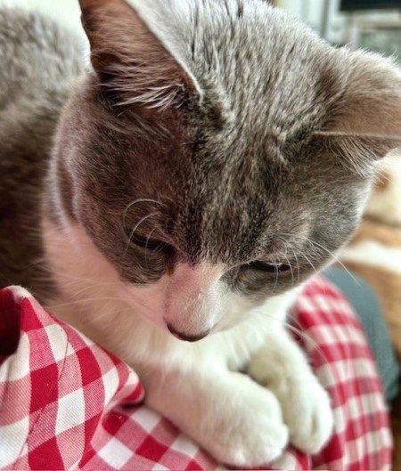 thumbnail_IMG_5408 (1)