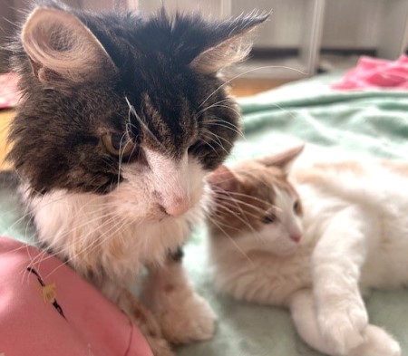 thumbnail_IMG_7559 (1)