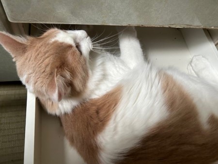 thumbnail_IMG_9709 (1)