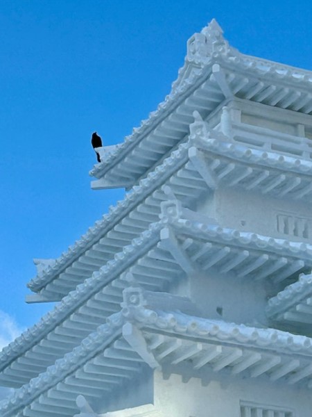 f2760475-1560-4554-a97e-d0657d1a7a68